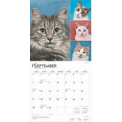 Calendrier 2025 Amoureux des Chats