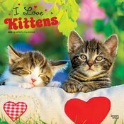 Calendrier Mural 2025 J'aime les Chatons