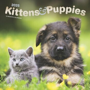Calendrier 2025 Chatons et Chiots