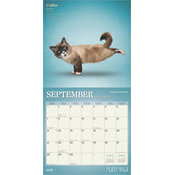 Calendrier 2025 Chats Yoga 