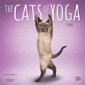 Calendrier  Mural 2025 Chats Yoga 