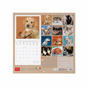 Calendrier 2025  Bb Chien