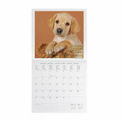 Calendrier 2025 Chiots Bb Chien