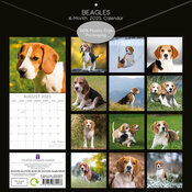 Calendrier 2025 Beagle