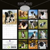 Calendrier 2025 Chien Berger Border Collie