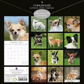 Calendrier 2025 Chien Compagnie Chihuahua