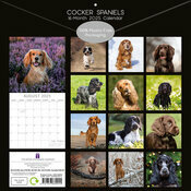 Calendrier 2025 spanielCocker Anglais