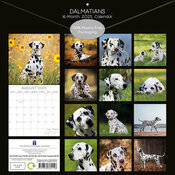 Calendrier 2025 Chien Dalmatien