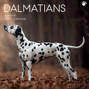 Calendrier 2025 Dalmatien