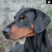 Calendrier Mural 2025 Chien Doberman