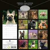 Calendrier 2025 Chien CompagnieBouledogue Franais