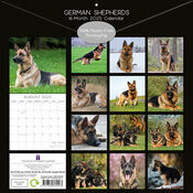 Calendrier 2025 Berger Allemand