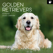 Calendrier Mural 2025 Chien Golden Retriever