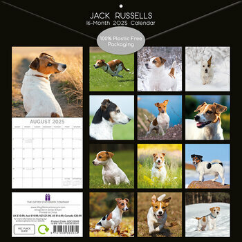 Calendrier 2025 Chien Jack Russell