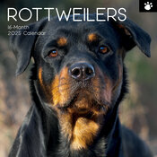 Calendrier Mural 2025 Chien Rottweiler