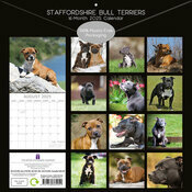 Calendrier 2025 Staffie Staffordshire Bull Terrier