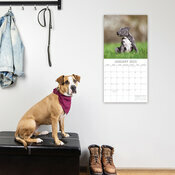 Calendrier 2025 Staffordshire Bull Terrier