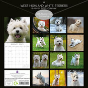 Calendrier 2025 Westie West Highland White Terrier