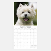 Calendrier 2025 Chien West Highland White Terrier