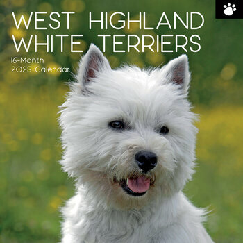Calendrier 2025 Chien West Highland White Terrier
