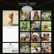 Calendrier Mural 2025 Chien Yorkshire Terrier