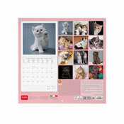 Calendrier 2025 Chatons 