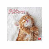 Calendrier Mural 2025 Chatons Bbs