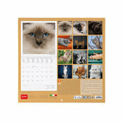 Calendrier 2025 Chats