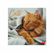 Calendrier Mural 2025 Beaut des Chats