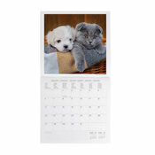 Calendrier 2025 Animaux Best Friends