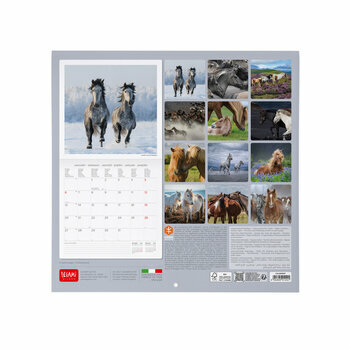 Calendrier 2025 Chevaux Sauvages