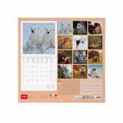 Calendrier 2025 Bbs Animaux Ours polaire