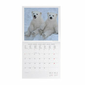 Calendrier 2025 Bbs Animaux Cute