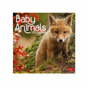 Calendrier Mural 2025 Bbs Animaux Cute