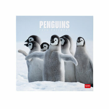 Calendrier 2025 Pingouins Manchots