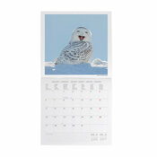 Calendrier 2025 Chouette Hiboux