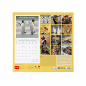 Calendrier Humour 2025 Animaux Rigolos