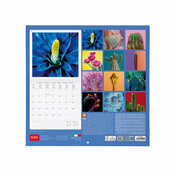 Calendrier Cactus 2025 Plantes Succulentes