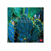 Calendrier Mural 2025 Plantes Succulentes