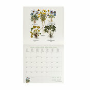 Calendrier 2025 Herbier Fleurs Botaniques