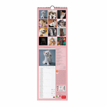 Calendrier Slim 2025 Chatons Mignons