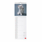 Calendrier troit 2025 Chatons Mignons