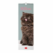 Calendrier Mural Slim 2025 Chatons Mignons