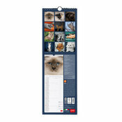 Calendrier Mural Slim 2025 Chats Mignons