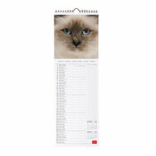 Calendrier Slim 2025 Chats Mignons