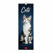 Calendrier Slim  troit 2025 Chats Mignons