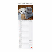 Calendrier Slim 2025 Animaux Amis