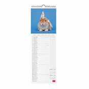 Calendrier Slim 2025 Lapins Rabbit