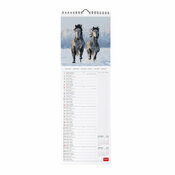 Calendrier Slim 2025 Chevaux Sauvages