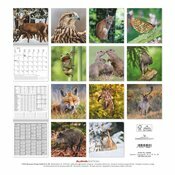 Calendrier Renard 2025 Animaux de la fort